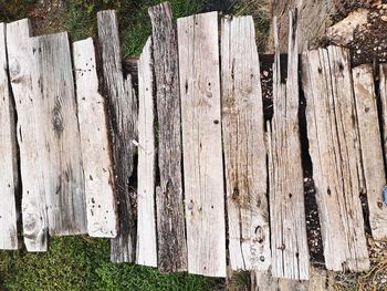Close-up of wooden fence against trees