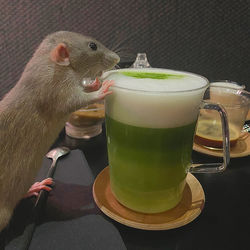 Close-up of hand holding drink on table