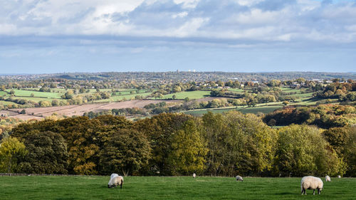 rural area