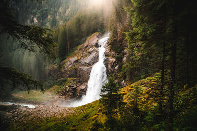 View of waterfall in forest