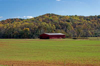 landscape
