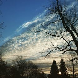 Bare trees against cloudy sky