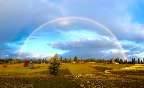 Scenic view of field against rainbow in sky