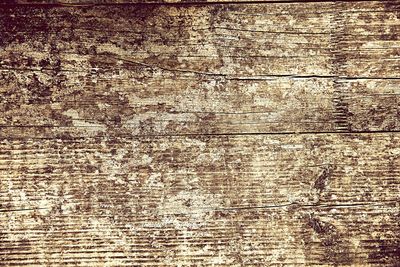Full frame shot of textured wood