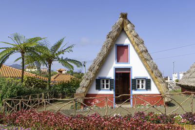 House and palm trees against sky