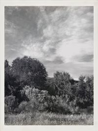 Scenic view of field against cloudy sky