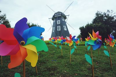 Close-up of multi colored flowers in field