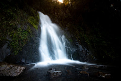 Scenic view of waterfall in forest