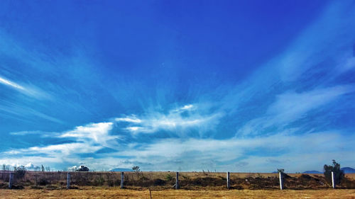 Scenic view of field against blue sky