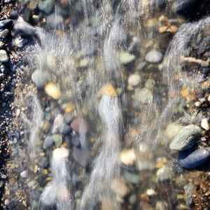 Close-up of pebbles in water