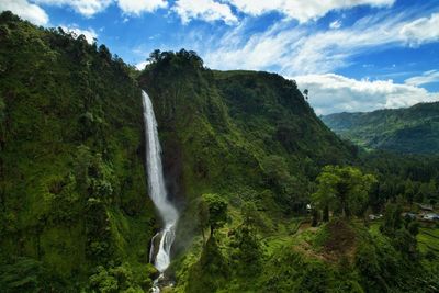 Scenic view of waterfall in forest