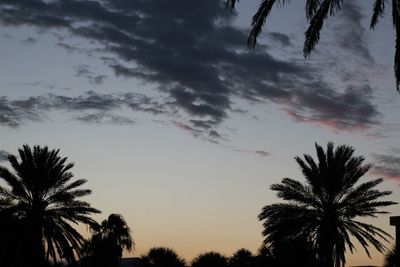 Low angle view of silhouette trees against sky