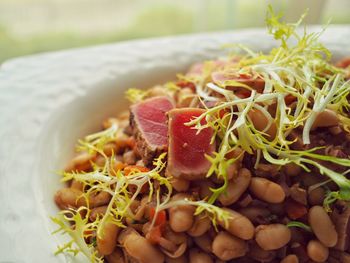 Close-up of food served in plate