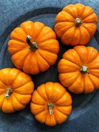 High angle view of pumpkins