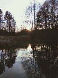 Reflection of silhouette trees in lake at sunset