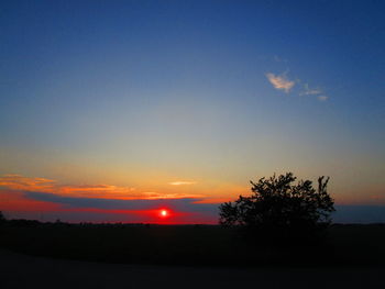 Silhouette trees against sky during sunset