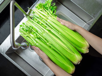 High angle view of hand holding food