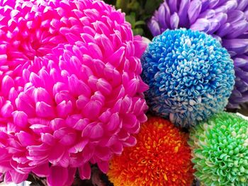 Close-up of flowers