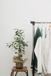 Potted plant against wall