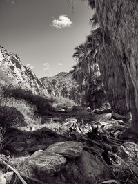 Scenic view of rocks in forest against sky