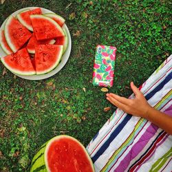 Cropped hand of person reaching for container on grassy field by watermelon slices