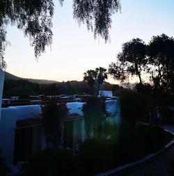 Silhouette trees by swimming pool against sky during sunset