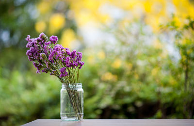 Close-up of purple flower in vase on table