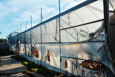 Panoramic view of greenhouse