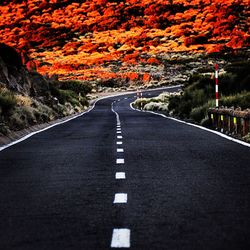 Road amidst autumn trees