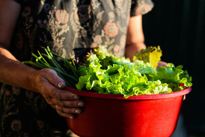 Womans hands holding a bowl full of fresh seasonal vegetable. farmer holding basket of vegetable diy 