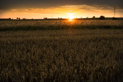 Scenic view of field against sky during sunset