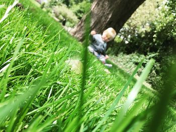 Full length of child on grass