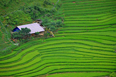 Hiking in sa pa, vietnam