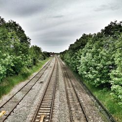 Railroad tracks along trees and plants