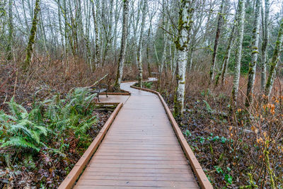 High angle view of people walking on boardwalk in forest