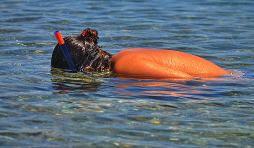 Close-up of back of woman swimming in water