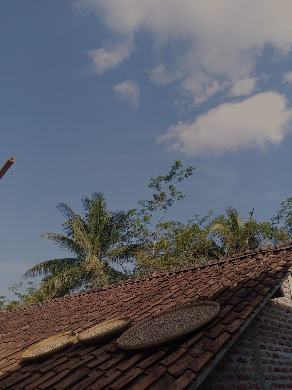 sky, cloud, roof, tree, architecture, roof tile, nature, palm tree, built structure, plant, no people, tropical climate, day, building exterior, sunlight, outdoors, building, house, wall, low angle view