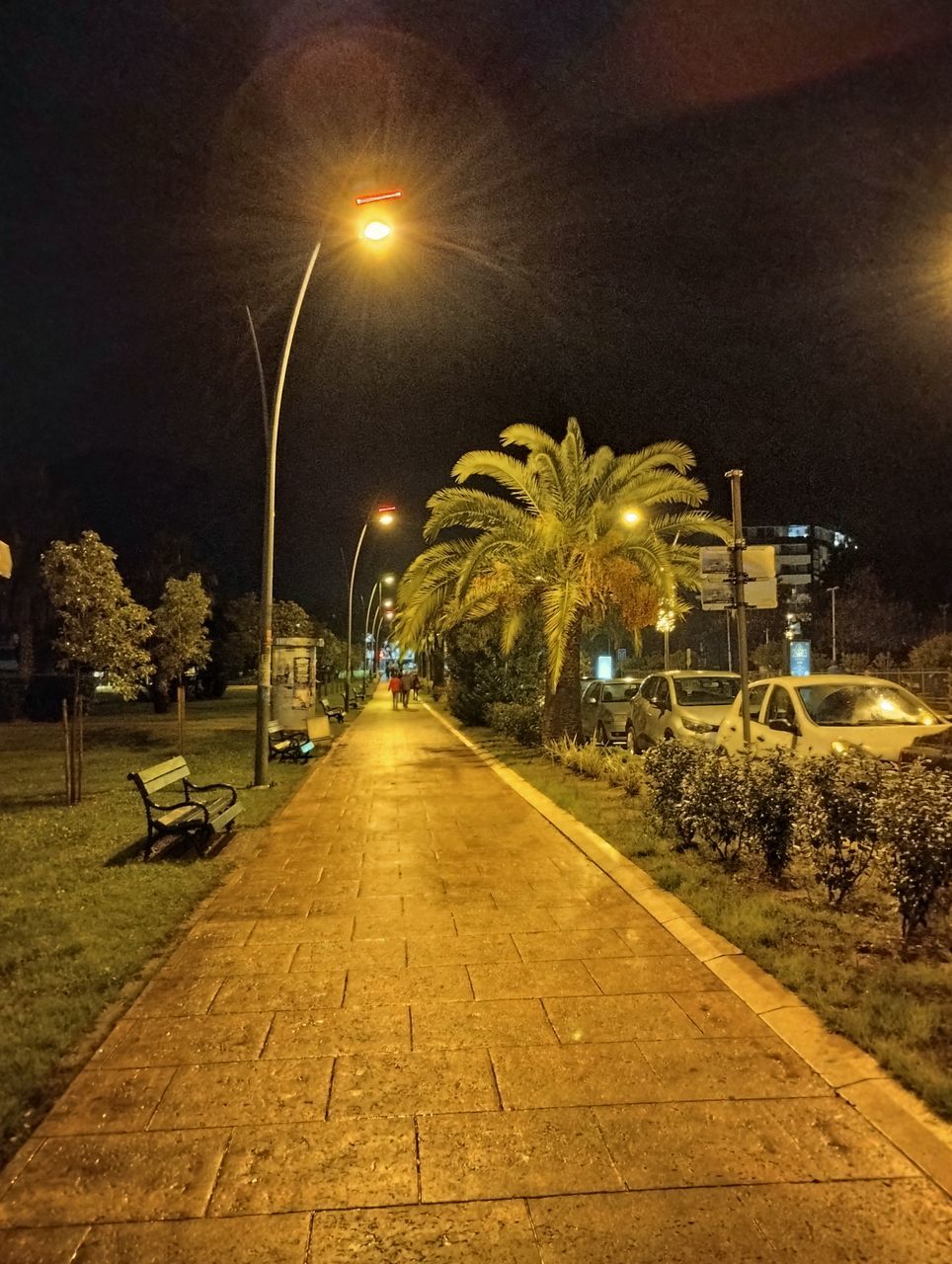 night, street light, illuminated, street, light, evening, the way forward, lighting, lighting equipment, city, plant, architecture, transportation, no people, sky, nature, darkness, tree, footpath, road, diminishing perspective, outdoors, built structure