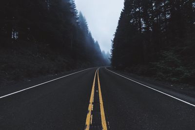 Road amidst trees against sky at night