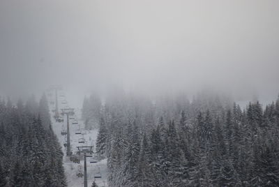 Trees on snow covered land against sky