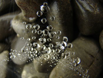 Full frame shot of water drops