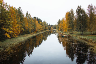 Autumn fairy tale in kainuu, finland. the colourful deciduous trees play with all their colours