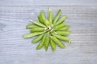 High angle view of leaf on table