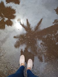 Low section of woman standing by puddle on road