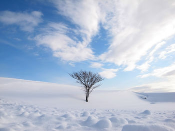 Scenic view of snow covered landscape against sky