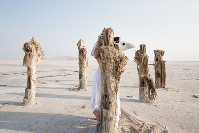 View of driftwood on beach