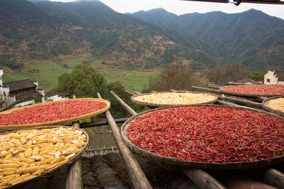 Red chili peppers by plants at market stall