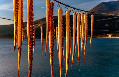 Close-up of metal poles in sea against sky