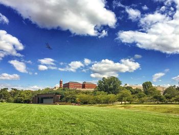 Bird flying over field against sky