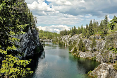 Scenic view of river amidst trees against sky